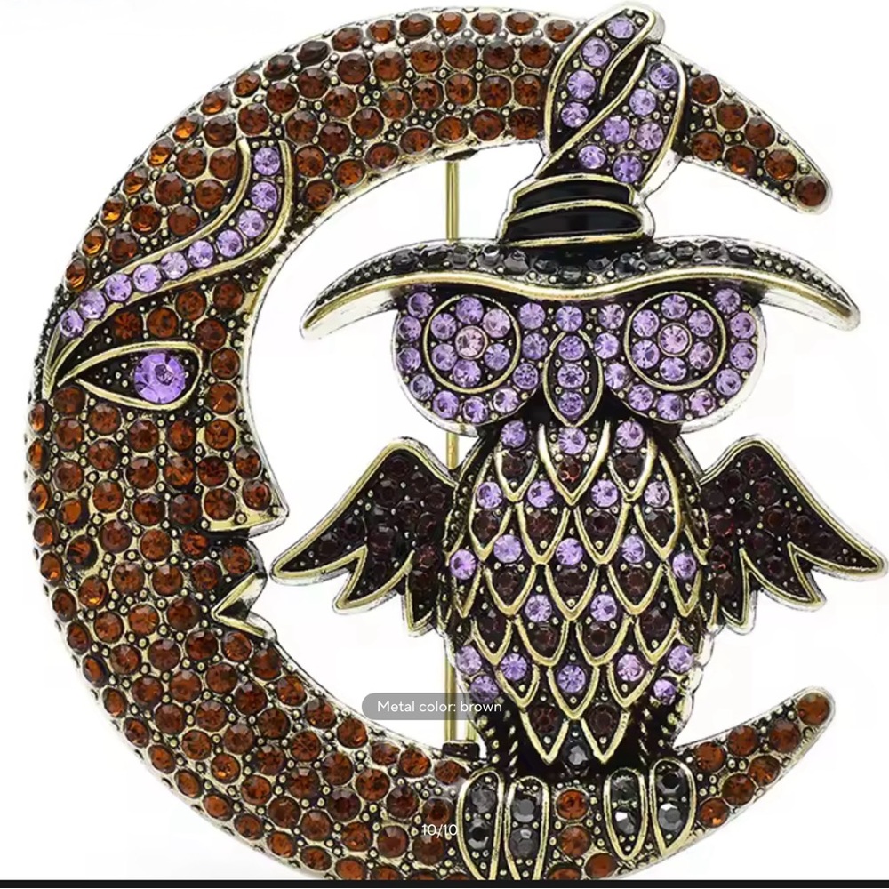 Purple and Brown Owl and Moon Brooch